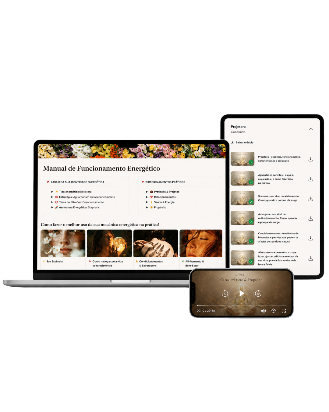 Manual de Funcionamento Energético — visualização no notebook, tablet e celular