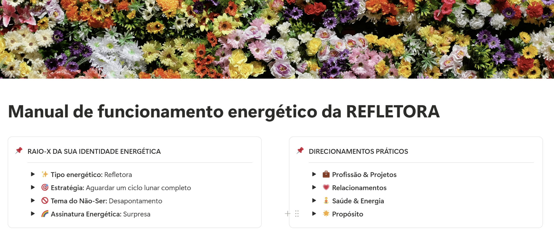 Capa do Manual da Refletora no Notion